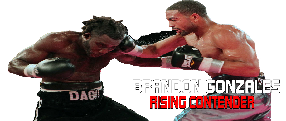 RISING CONTENDER