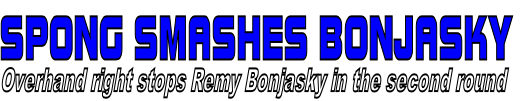 SPONG SMASHES BONJASKY
Overhand right stops Remy Bonjasky in the second round